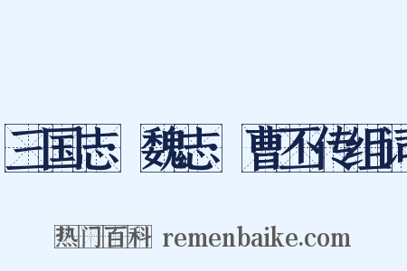 三国志·魏志·曹丕传组词是什么意思的图片